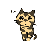 サビ猫