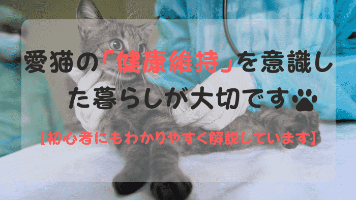 健康診断を受ける猫
