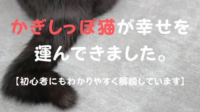 かぎしっぽ猫 スピリチュアル
