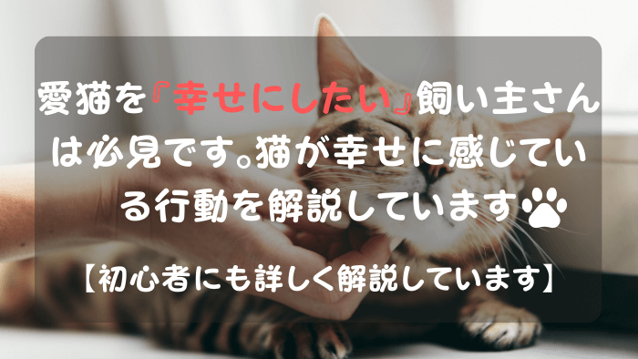 飼い主にあごの下を撫でられて、幸せを感じている猫