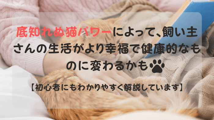 飼い主さんに寄り添う猫