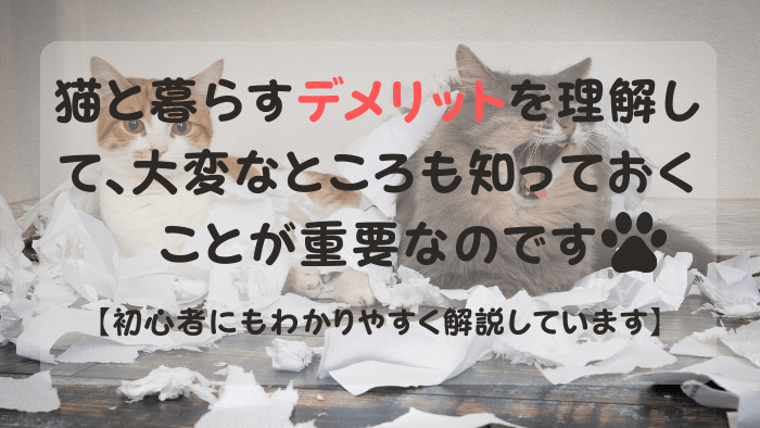 部屋を散らかす二匹の猫