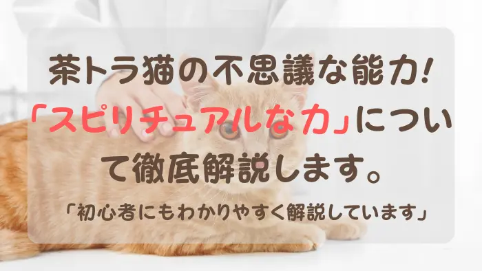 茶トラ猫 スピリチュアル