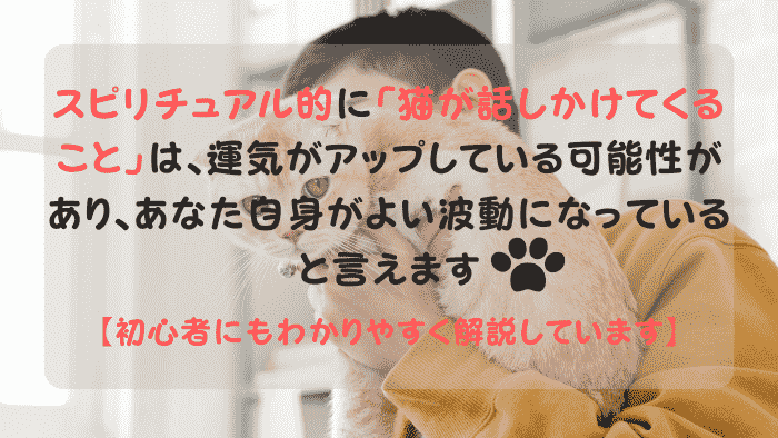 猫が話しかけてくる スピリチュアル