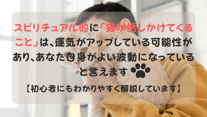 飼い主が愛猫を抱き上げて「愛猫との会話を楽しもう」としている様子