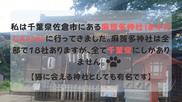 千葉県佐倉市にある猫に会える神社「麻賀多神社」の拝殿