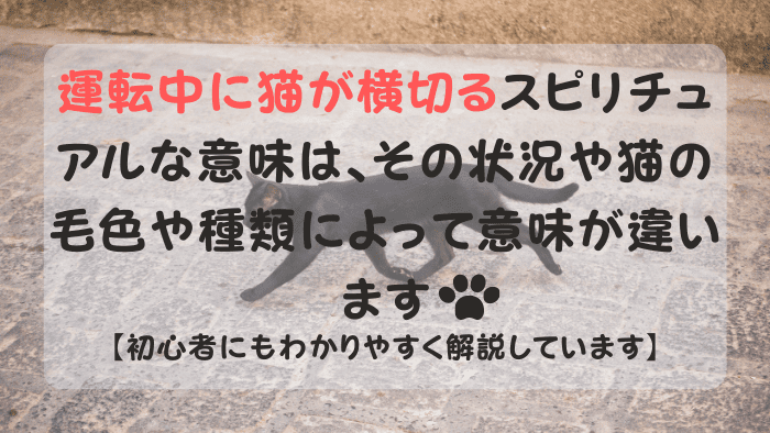 道路を横切る黒猫