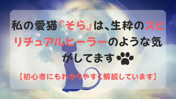 猫 スピリチュアルヒーラー