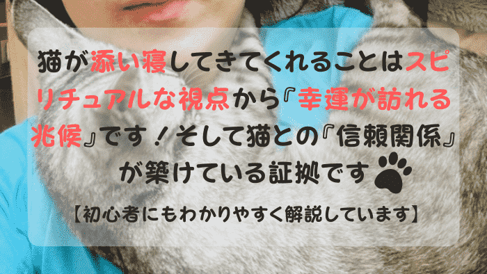 飼い主と添い寝するスピリチュアルな猫