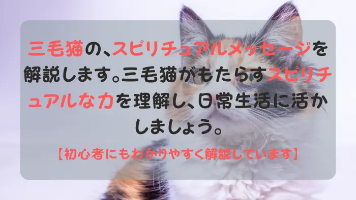 三毛猫 スピリチュアル