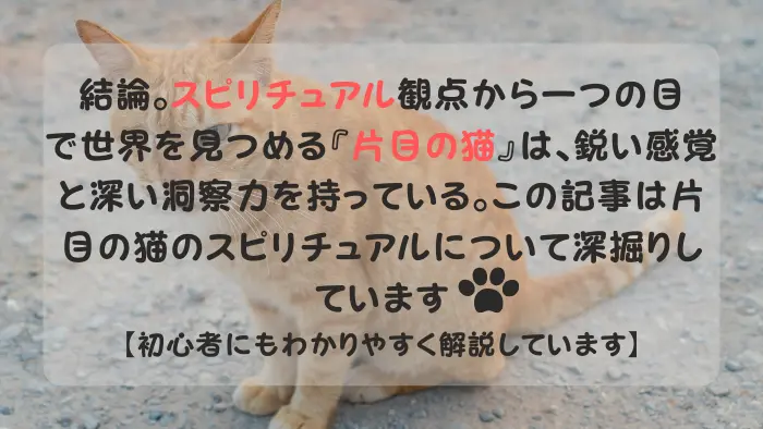 片目の猫 スピリチュアル