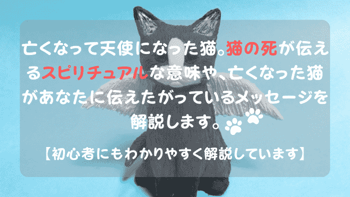 猫の死 スピリチュアル