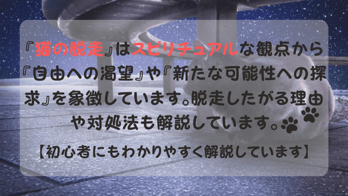 脱走して高架下に隠れているスピリチュアルな黒猫