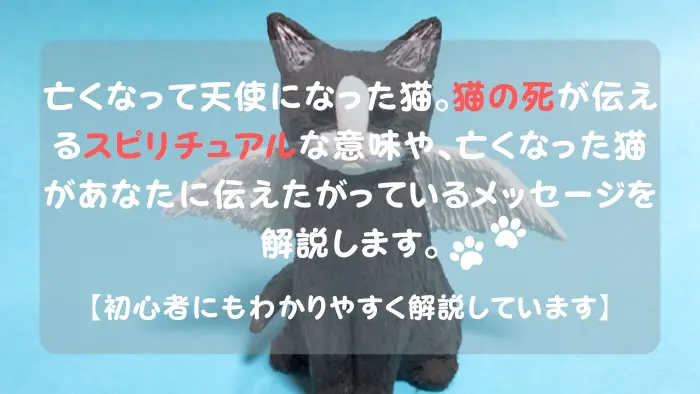 猫の死 スピリチュアル