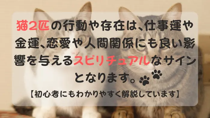 猫 2匹 スピリチュアル