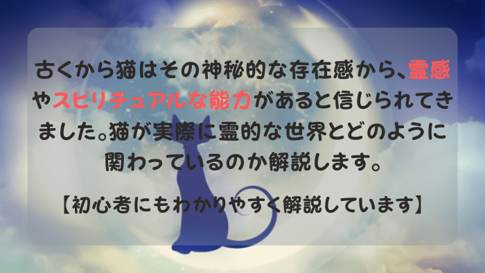 月に住み着くスピリチュアルな猫