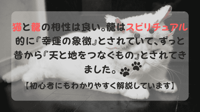 猫 龍 スピリチュアル