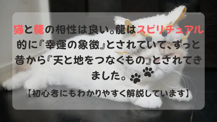 猫 龍 スピリチュアル