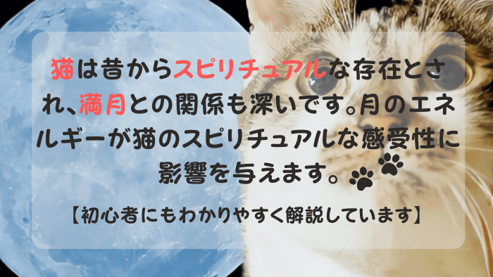 大きい満月とスピリチュアルな猫