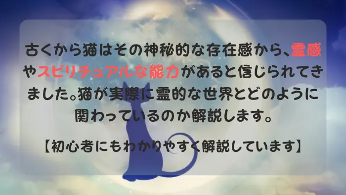 猫 霊感 スピリチュアル