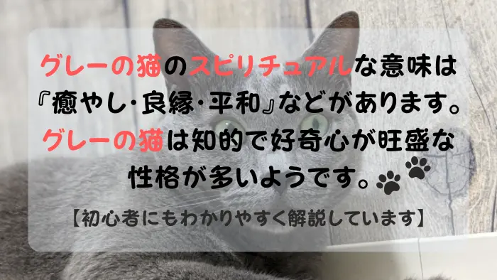 グレーの猫 スピリチュアル
