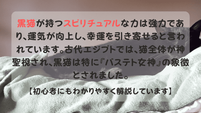 毛布に寝転がるスピリチュアルな黒猫