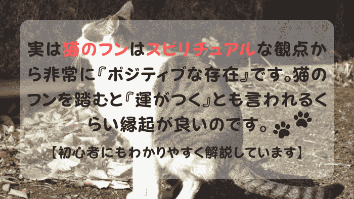 猫のフン スピリチュアル