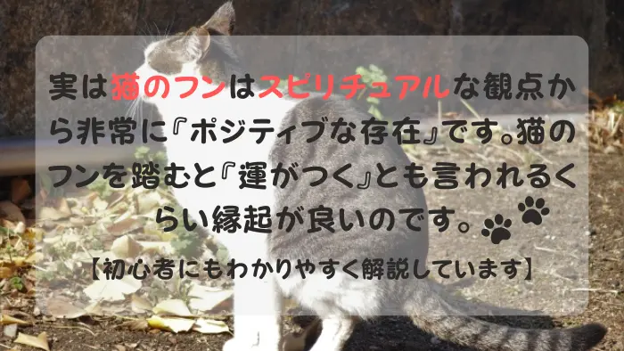 猫のフン スピリチュアル