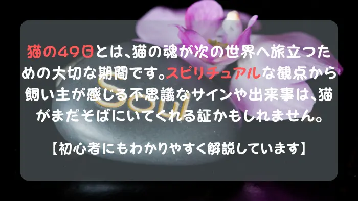 猫 49日 スピリチュアル