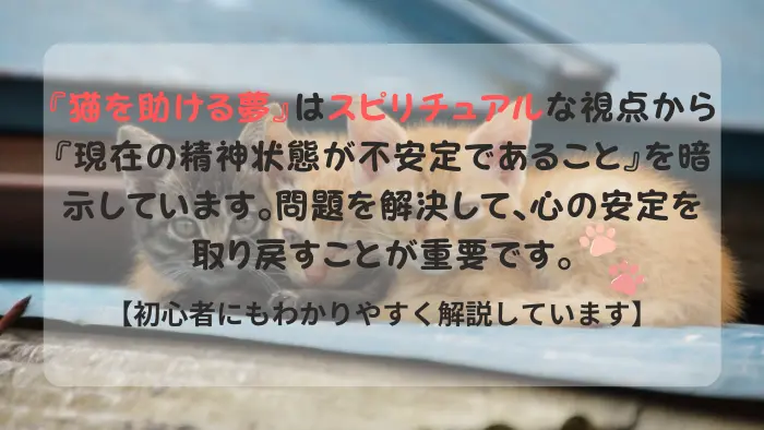 猫を助ける夢 スピリチュアル