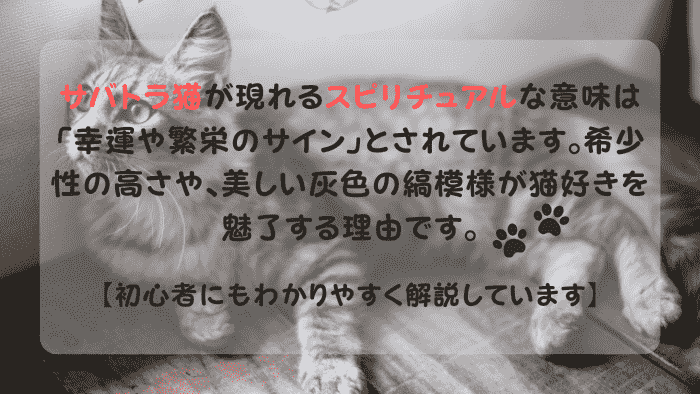 スピリチュアルな長毛のサバトラ猫