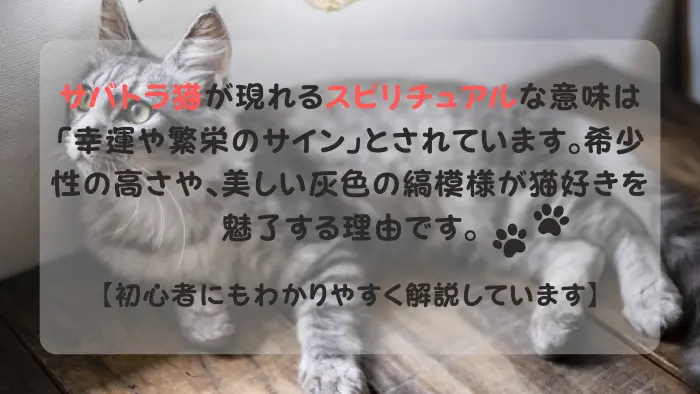 サバトラ猫 スピリチュアル
