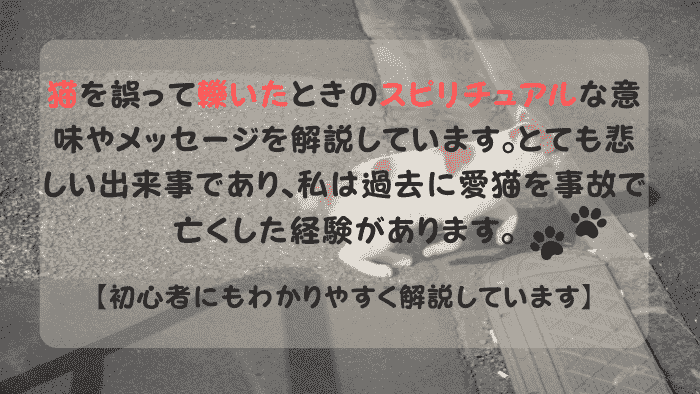 道路を横断するスピリチュアルな茶トラ猫