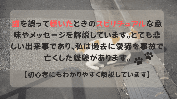 道路を横断するスピリチュアルな茶トラ猫