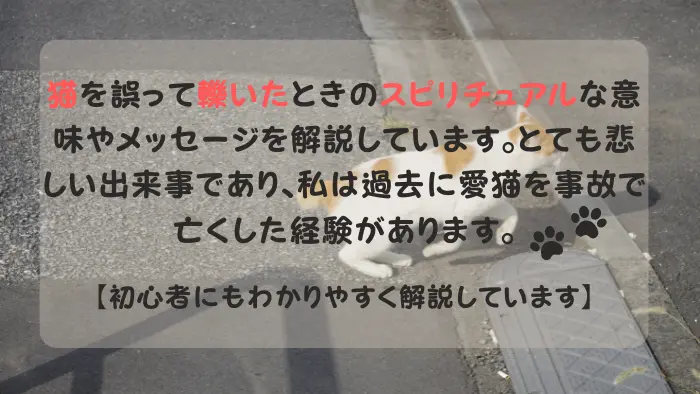 道路を横断するスピリチュアルな茶トラ猫