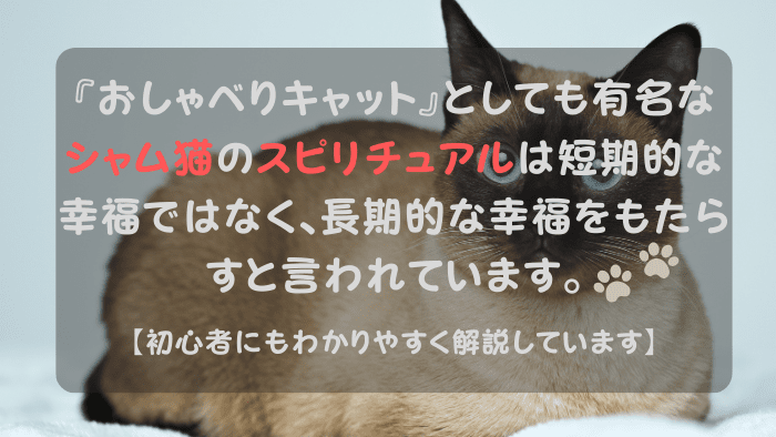 シャム猫 スピリチュアル