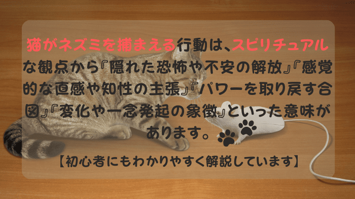 猫がネズミを捕まえる スピリチュアル