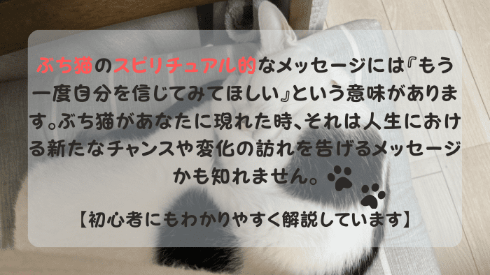 ぶち猫 スピリチュアル