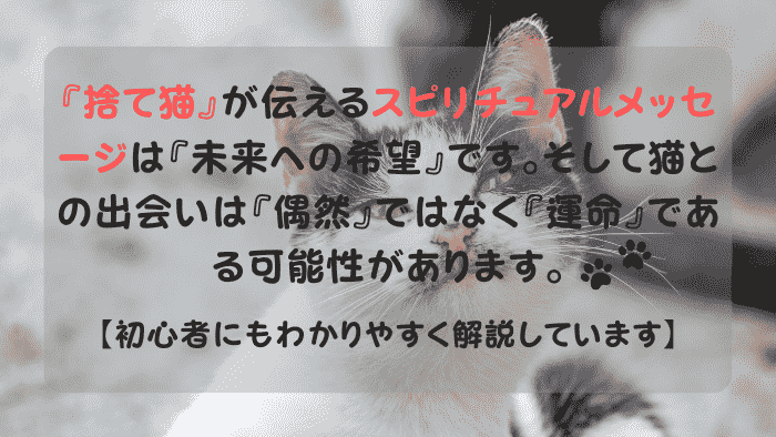 捨て猫 スピリチュアル