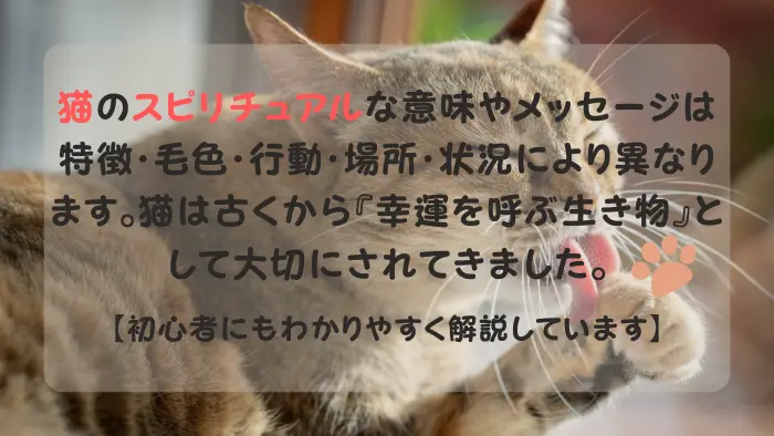 猫 スピリチュアル