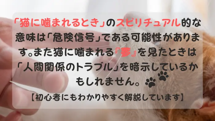 猫に噛まれる スピリチュアル