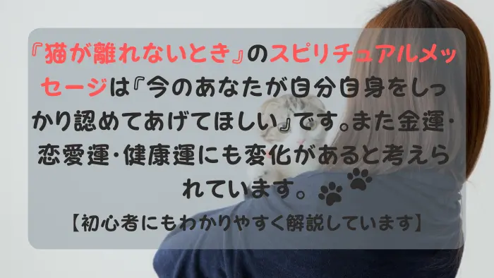 猫が離れない スピリチュアル