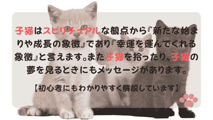 子猫 スピリチュアル