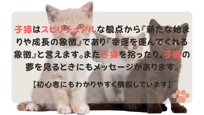 子猫 スピリチュアル
