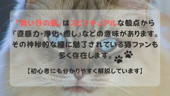 青い目の猫 スピリチュアル