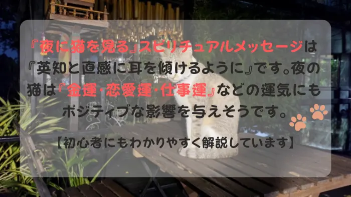 夜に猫を見る スピリチュアル
