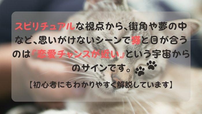 猫 スピリチュアル 恋愛