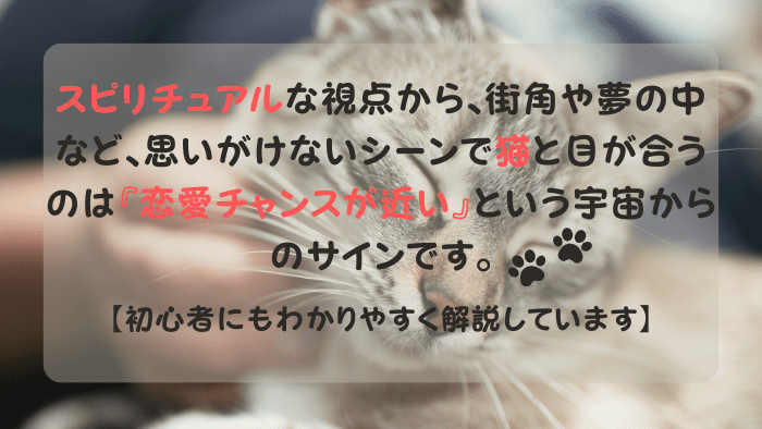 猫 スピリチュアル 恋愛