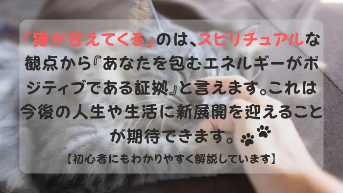 猫 甘えてくる スピリチュアル