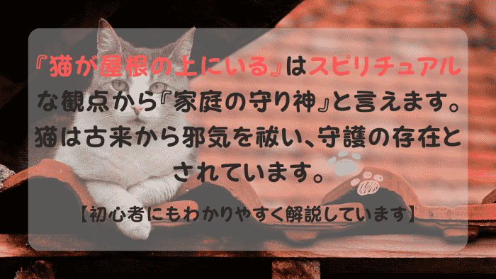 猫が屋根の上にいる スピリチュアル